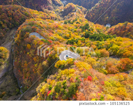鳥瞰“栃木縣”日光山的紅葉景色 105136525