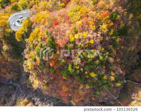 鳥瞰“栃木縣”日光山的紅葉景色 105136526