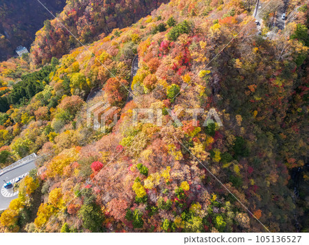 鳥瞰“栃木縣”日光山的紅葉景色 105136527