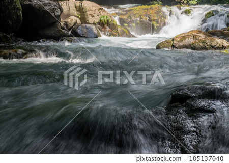 Beautiful scenery of Kikuchi Gorge when it was fresh green Beautiful scenery of Kikuchi Gorge when it was fresh green 105137040