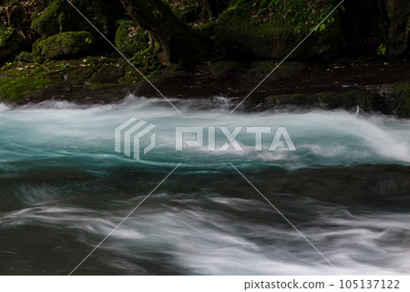 Beautiful scenery of Kikuchi Gorge when it was fresh green Beautiful scenery of Kikuchi Gorge when it was fresh green 105137122