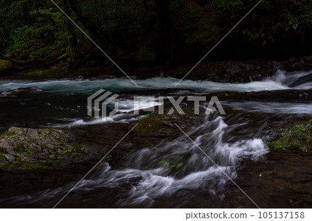 Beautiful scenery of Kikuchi Gorge when it was fresh green Beautiful scenery of Kikuchi Gorge when it was fresh green 105137158