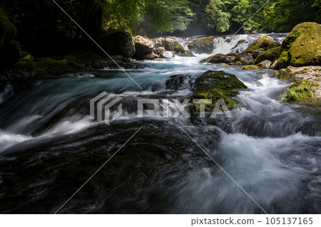 Beautiful scenery of Kikuchi Gorge when it was fresh green Beautiful scenery of Kikuchi Gorge when it was fresh green 105137165