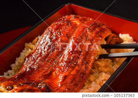 lift the eel 105137363