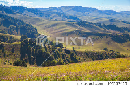 Altai mountains landscape on a sunny day, Katun river valley Altai mountains landscape on a sunny day, Katun river valley 105137425