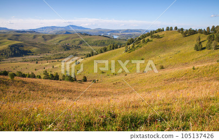 Summer landscape with Altai mountains on a sunny day, Katun river 105137426