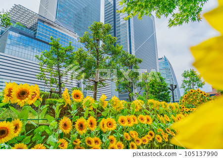 大名古屋大樓、市中心的向日葵花園<愛知縣名古屋市> 105137990