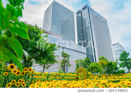 大名古屋大樓、市中心的向日葵花園<愛知縣名古屋市> 大名古屋大樓、市中心的向日葵花園<愛知縣名古屋市> 105138001