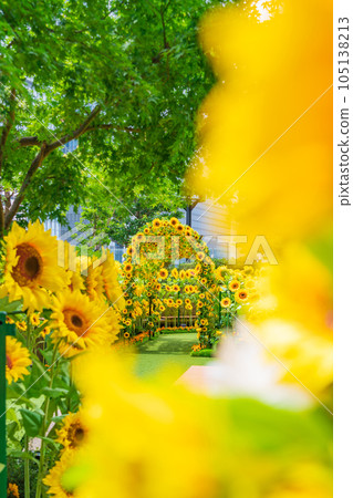 大名古屋大樓、市中心的向日葵花園<愛知縣名古屋市> 105138213