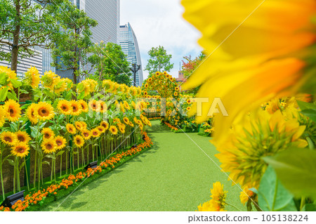 大名古屋大樓、市中心的向日葵花園<愛知縣名古屋市> 105138224