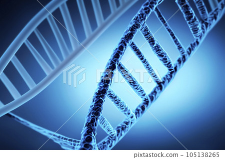DNA. Illustration of the molecular structure of DNA strands of human cell biology. Blue DNA structure isolated background. 3D illustration. Helix spiral of DNA molecule. Genetic cells concept. DNA. Illustration of the molecular structure of DNA strands of human cell biology. Blue DNA structure isolated background. 3D illustration. Helix spiral of DNA molecule. Genetic cells concept. 105138265