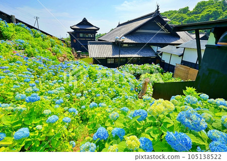 鯡魚宮 舊青山別墅 小樽貴品館 繡球花園 105138522