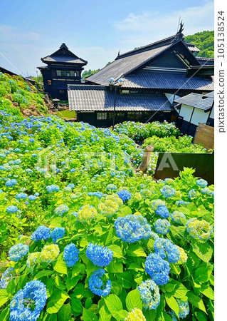 Herring Palace Former Aoyama Villa Otaru Kihinkan Hydrangea Garden 105138524