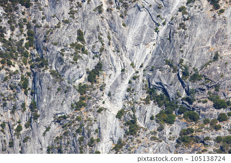 View of the rocks and small vegetation. Background of nature. View of the rocks and small vegetation. Background of nature. 105138724