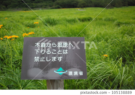 一塊牌子上寫著“禁止從木板路下降到沼澤地” 105138889