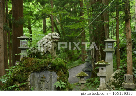 有看門狗和石燈籠的風景 有看門狗和石燈籠的風景 105139333