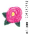 Camellia 105139581