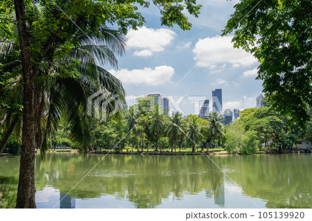 Lumpini Park green forest lake in Bangkok, Thailand 105139920