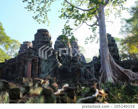Image showcasing a large tropical ficus tree growing near the remnants of the ancient decaying Bantey Kdei Buddhist temple in Cambodia. Image showcasing a large tropical ficus tree growing near the remnants of the ancient decaying Bantey Kdei Buddhist temple in Cambodia. 105140158