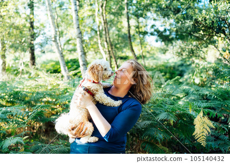 Happy middle-aged woman embracing her cockapoo puppy pet dog during walk outdoors in summer forest or park on sunset. Cute little doggy. A woman petting her dog like a small child. Selective focus 105140432
