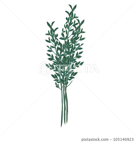 Herb leaf 105140923