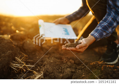 Expert hand of farmer checking soil health before growth a seed of vegetable. Business concept. 105141181