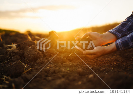 Expert hand of farmer checking soil health before growth a seed of vegetable. Business concept. 105141184