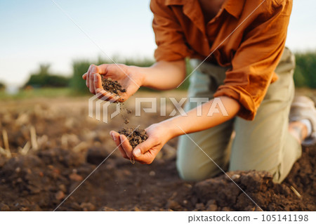 Female Hand of expert farmer collect soil and checking soil health before growth a seed of vegetable Female Hand of expert farmer collect soil and checking soil health before growth a seed of vegetable 105141198
