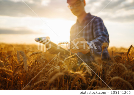 Farmer on a wheat field with a tablet in his hands. Idea of a rich harvest. 105141265