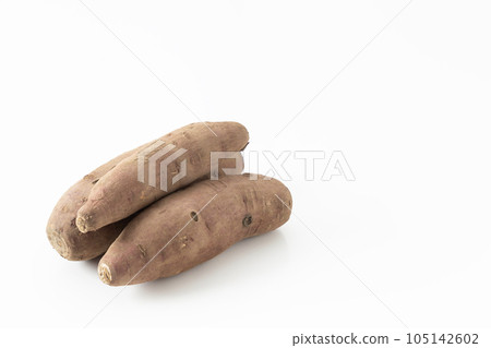 紅薯白底 紅薯白底 105142602