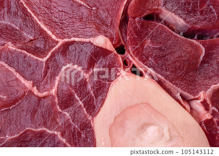Fresh raw beef steak with bone or ossobuco with salt, spices and herbs Fresh raw beef steak with bone or ossobuco with salt, spices and herbs 105143112