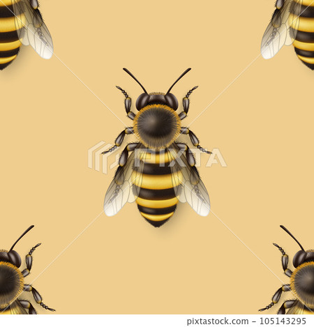 Vector Seamless Pattern with 3d Realistic Detailed Honey Bee Icon Closeup on Yellow Background. Queen Honeybee Design Template, Vector Illustration of Bee in Macro, Top View 105143295