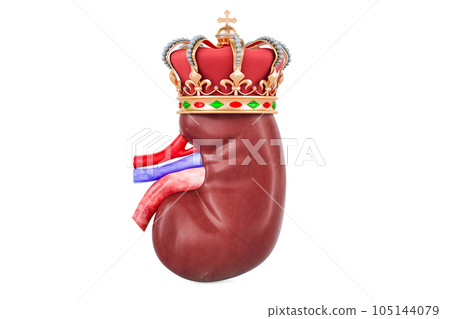 Human kidney with golden crown, 3D rendering Human kidney with golden crown, 3D rendering 105144079
