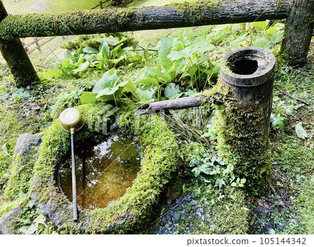 Ladder Ladder 105144342