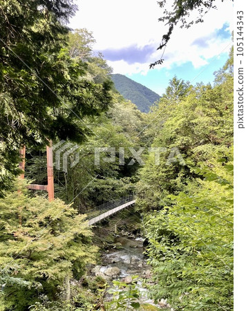 有吊橋的河 105144343