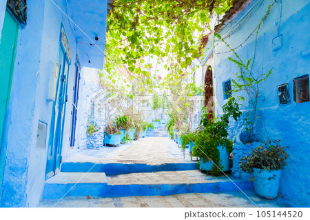 Streets of Chefchaouen 105144520