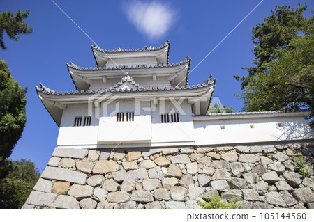 Tsu Castle Ruins 105144560