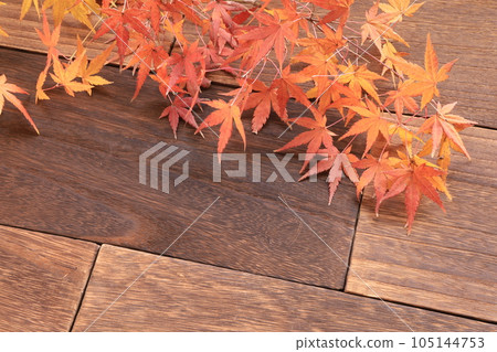 autumn image autumn leaves 105144753
