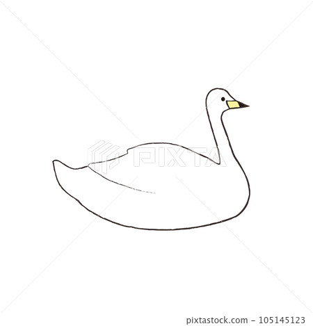 Illustration of a swan turning sideways Illustration of a swan turning sideways 105145123