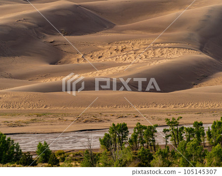 Sunny view of the landscape of Great Sand Dunes National Park and Preserve Sunny view of the landscape of Great Sand Dunes National Park and Preserve 105145307