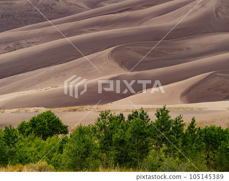 Sunny view of the landscape of Great Sand Dunes National Park and Preserve 105145389
