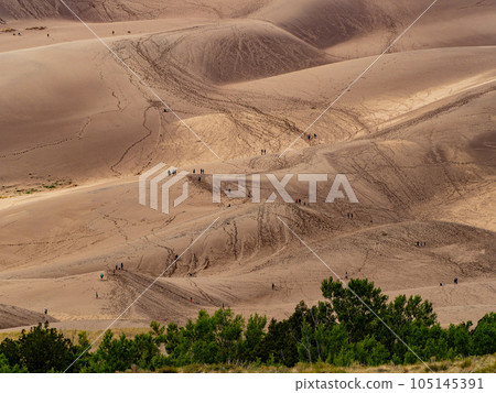 Sunny view of the landscape of Great Sand Dunes National Park and Preserve 105145391
