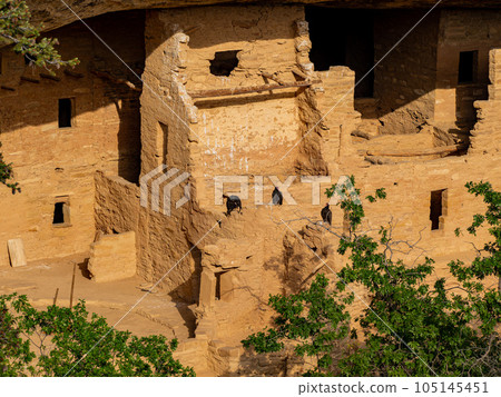 Sunny view of the historical Balcony House in Mesa Verde National Park 105145451