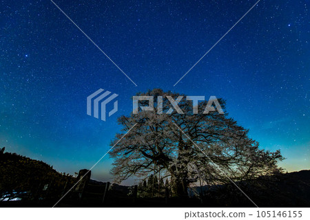 Okayama Daigozakura ~ Starscape ~ Okayama Daigozakura ~ Starscape ~ 105146155