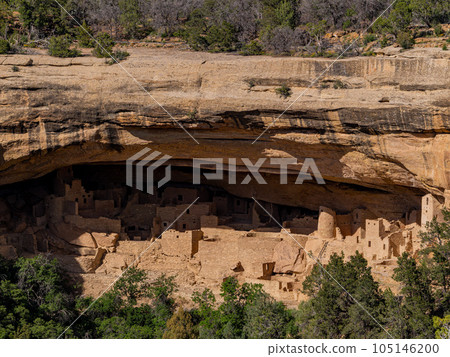 Sunny view of the historical Cliff Palace in Mesa Verde National Park 105146200