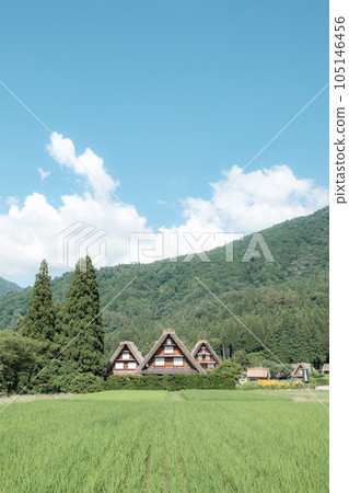 夏川白川鎮 夏川白川鎮 105146456