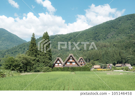 夏川白川鎮 夏川白川鎮 105146458
