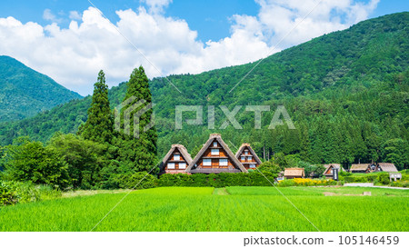 夏川白川鎮 夏川白川鎮 105146459