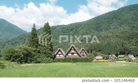 夏川白川鎮 夏川白川鎮 105146460
