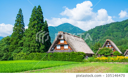 Summer Shirakawa Town 105146470